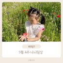 나비셀프 세차장 | 5월 4주 나나일상 | 안양천 꽃구경 / 감기 / 의왕무민공원 / 과천과학관 / 카페데이트