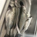 이마트24 태안백사장점 이미지