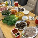 보령애견동반펜션 피노비스타 | 보령애견동반숙소 “피노비스타 애견펜션” 목조A/B 후기