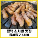 육사육구 티스토리