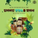 솔가의집