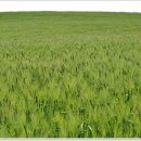 남도농장 이미지