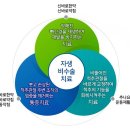 선 한방병원 이미지