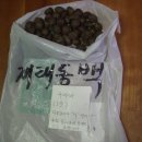 안덕천 이미지
