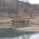 신상동 인공습지 이미지