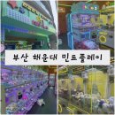 민트플레이 해운대 이미지