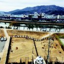 반려동물놀이터 이미지