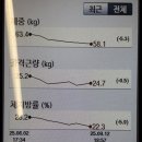 알로하피트니스 경산무학점 | 알로하피트니스 - 추석과 다이어트
