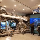 수산과학관 이미지