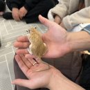 마리앤쥬 이미지