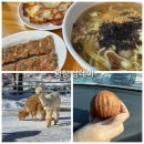 나일탄신일 맞이 평창 여행기 3장 : 평창 맛집 투어 📢118kcal