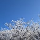 DM스크린 네이버블로그