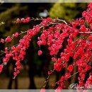 조은정비 이미지