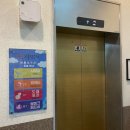 구암동585 | [보물섬수산] 회세트 주문 및 매장이용 후기, 대전 구암동