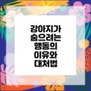 마음가득 동물병원 이미지