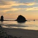 꽃지아라 이미지