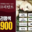 크리틴트 - 양산시 | 크리틴트