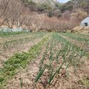 두메유기농원 이미지