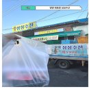 천사수산 | 양양시장 회포장 싱싱수산 푸짐한 모듬회 후기