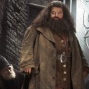 카페고니 이미지