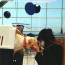 한계농장 이미지