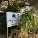 애월 더 펜션 | 제주 애월펜션 감성숙소 애월더펜션 2박후기