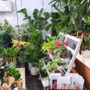 남중동-75 이미지