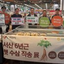 세종인삼