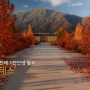 롯데와인현대무역점 이미지