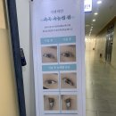 자연미인 - 포항시 북구 칠성천길 120-1 | 대전 봉명동속눈썹펌 맛집 '자연미인' 유지력 짱짱 리얼 후기