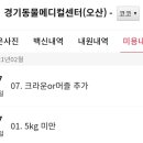 코코샤넬펫
