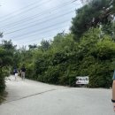 장어의신화 - 시흥시 황고개로 208 | 오동통한 살이 매력적인 장어찐맛집, 가족끼리 가기 좋은 몸보신 시흥 장어 '장어의신화' 리뷰/추천/후기