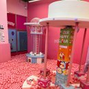 루원PC | 청라,루원시티 퍼플주니어 키즈카페, 두돌 전에 방문 필수