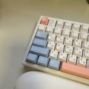 플렉스피씨(FLEX PC) | 사무용무소음키보드 추천 콕스 COX CS108 유무선 108키 퀵스왑 기계식 키보드 소프트스카이, 맘모스축