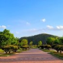 율하체육공원 잔디광장 이미지