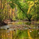 강호택시(주) 이미지