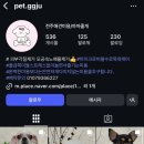 까까줄개 네이버블로그