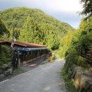 장태산자연휴양림 캠핑장 이미지