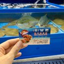 뤠보로남원바로서비스 | 가락시장 수산시장 가락몰 대방어 주차 남원씨푸드