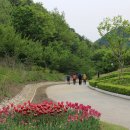 성산면 주민센터 이미지