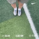 인천광역시 인재개발원 운동장 | 「발전인재개발원」 교육❌ 테니스 후기🎾