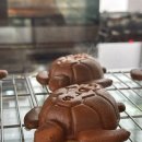 역삼1-136 | 강남 역삼 이색카페 슬로우커피 도심 속 거북이 파충류 만나는 특별한 공간