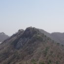 선흘림 이미지