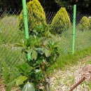 복안농장 이미지