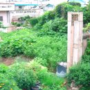 정든슈퍼 - 충주시 | 정든슈퍼