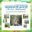 칠보산업 | 2025 전주 이팝나무 축제