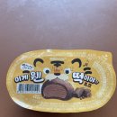 [아이스크림 후기] 해태아이스 이게 웬 떡이야?! 초코
