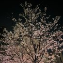 장하은 콘서트 | 26 1분기 결산(260101~260429)