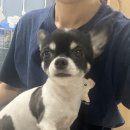 미르아이병원 이미지