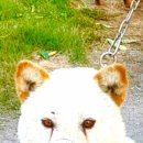 (주)백산 이미지